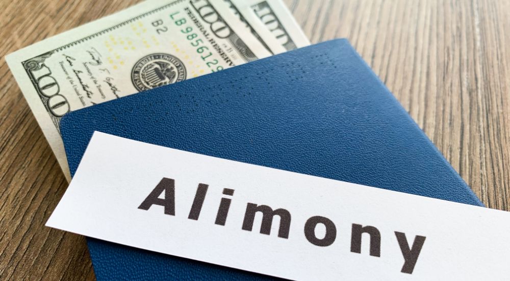 How to Avoid Paying Alimony in California? (2024)